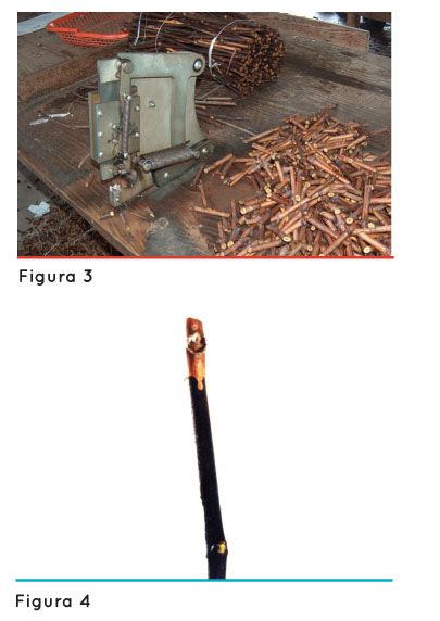 p78 fig4